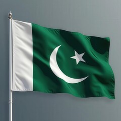Pakistan flag wave isolated over png transparent background