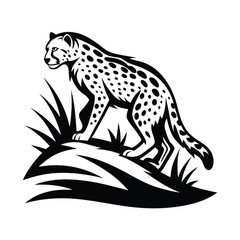 Silhouette of Wild Cheetah Stalking Prey in Tall Grass Isolated on White Background