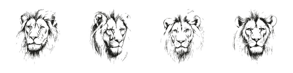 Obraz premium Lion Head Sketches Silhouette Set. Majestic Wildlife Art And Symbolism Isolated Vector Illustration Collection
