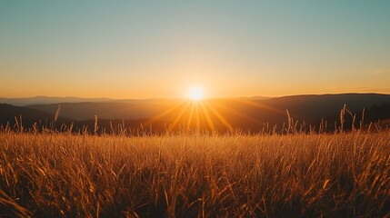 Golden Sunset Over Mountain Meadow