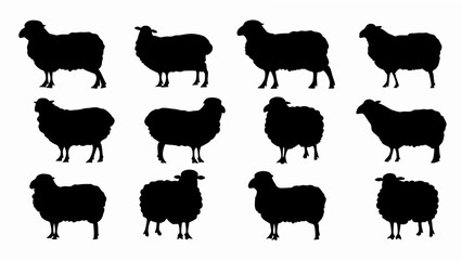 set of sheep silhouette vector on white background