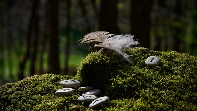 Eine Buzzardfeder auf einem Stein im Wald. Runen.