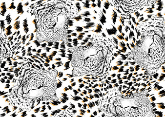 Seamless leopard skin isolated pattern. Leopard and zebra pattern design, illustration background,leopard and zebra design pattern. Textile print pattern.