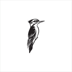 Fototapeta premium hoopoe bird with a lush crest, graphics, black and white, minimalism 