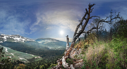 Panoramic view of the Lago Naki plateau. Forest on the mountain slopes. Lonely tree on the top of the mountain. Republic of Adygea.