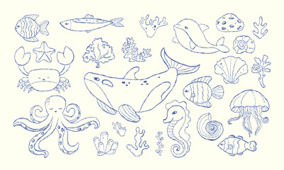 Set of hand-drawn doodles of marine animals and plants