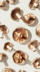 Fresh mushrooms arranged aesthetically on a light background, showcasing their natural textures and colors, ideal for food photography.