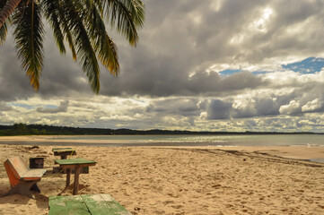 Rustic tables and benches rest on sandy shores beneath palm fronds, gazing towards the ocean where...
