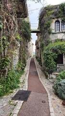 narrow street in the old town