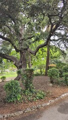 footpath in the park