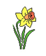 Narcissus flower in pixel art, 8 bit. accessory for video game. scheme for knitting, embroidery and children's creativity