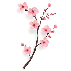 Fototapeta premium Delicate Pink Cherry Blossom Branch
