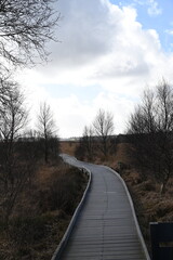 the walkway over the bog at cors caron in the sun 