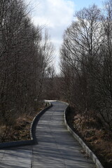 the walkway over the bog at cors caron in the sun 