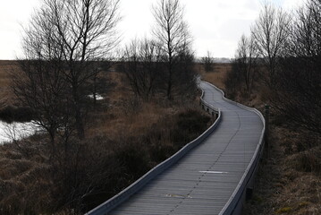 the walkway over the bog at cors caron in the sun 