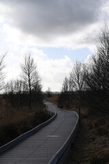 the walkway over the bog at cors caron in the sun 