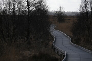 the walkway over the bog at cors caron in the sun 