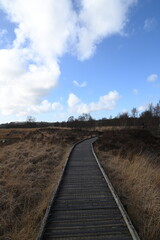 the walkway over the bog at cors caron in the sun 