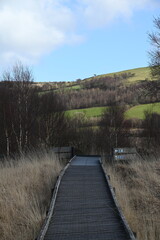 the walkway over the bog at cors caron in the sun 