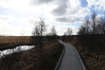 the walkway over the bog at cors caron in the sun 