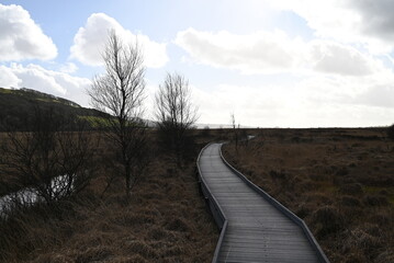 the walkway over the bog at cors caron in the sun 