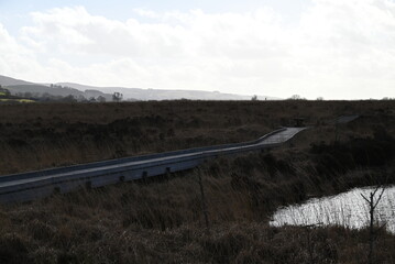 the walkway over the bog at cors caron in the sun 