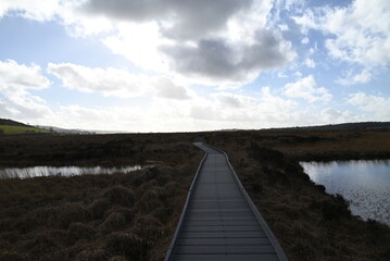 the walkway over the bog at cors caron in the sun 