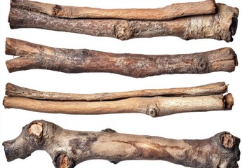 Obraz premium Natural Sticks and Twigs Arranged on White Background for Crafts
