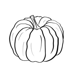 Pumpkin Outline