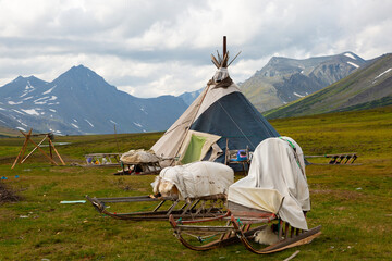 Nenets reindeer herders choom on a summer. Russia