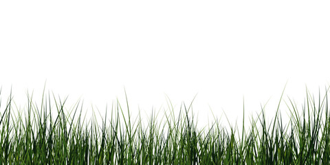 Fototapeta premium Lush Green Grass. Natural Grass Patch.Transparent Grass Overlay. Spring Green Lawn. Eco Grass Element.
