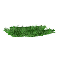 grass vector illustration without background