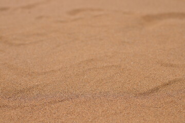 Natural sand background, beach pattern, vacation concept