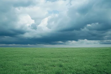Selbstklebende Fototapeten Serene green field under a dramatic stormy sky peaceful nature scene © Tohamina