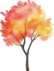 autumn tree watercolor painting isolated on transparent background.