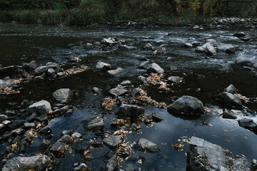 Tranquil Reflections on Water Featuring Beautiful Fall Leaves, Rocks, and Scenic Natural Beauty