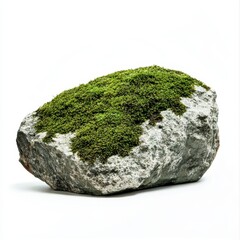 Green Moss Covered Rock on White Background for Nature Photography