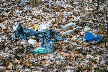 Garbage in the forest. Pollution of forests by humans. Concept of pollution of forests and nature...