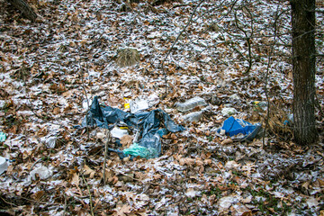 Garbage in the forest. Pollution of forests by humans. Concept of pollution of forests and nature...