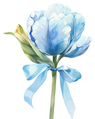 PNG Blue coquette tulip art illustration watercolor.