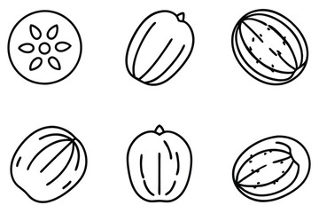 indian jujube line art detailed hand drawn illustration