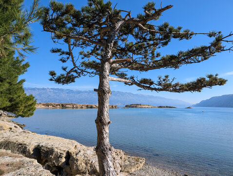 Rab - Wandern auf der Ostseite der Insel