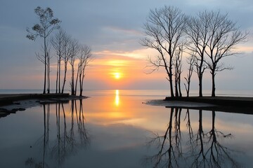 Obraz premium Sunset over a coastal mangrove forest during low tide