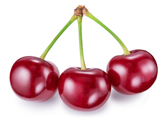 Three tart cherries or sour cherries isolated on white background. File contains clipping path.