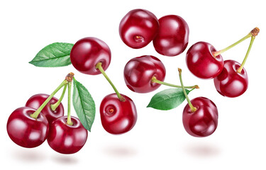 Set of tart cherries or sour cherries and cherry leaves isolated on white background. File contains clipping paths.