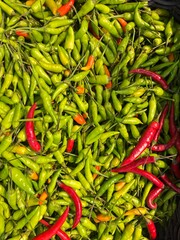 Pile of colorful chili peppers ready for cooking, Red and green hot chili peppers