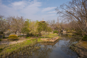 Springtime Scenery in a Traditional Chinese Garden