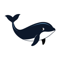 Cartoon Killer Whale Illustration