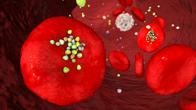 Erythrocytes with plastic microparticles, 3D illustration