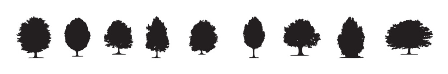 Set of forest trees on white background vector